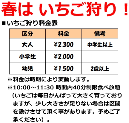 link of top mikan gari