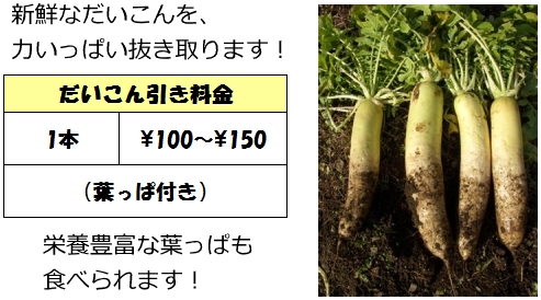 image of access text