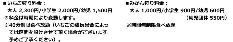 link of top mikan gari